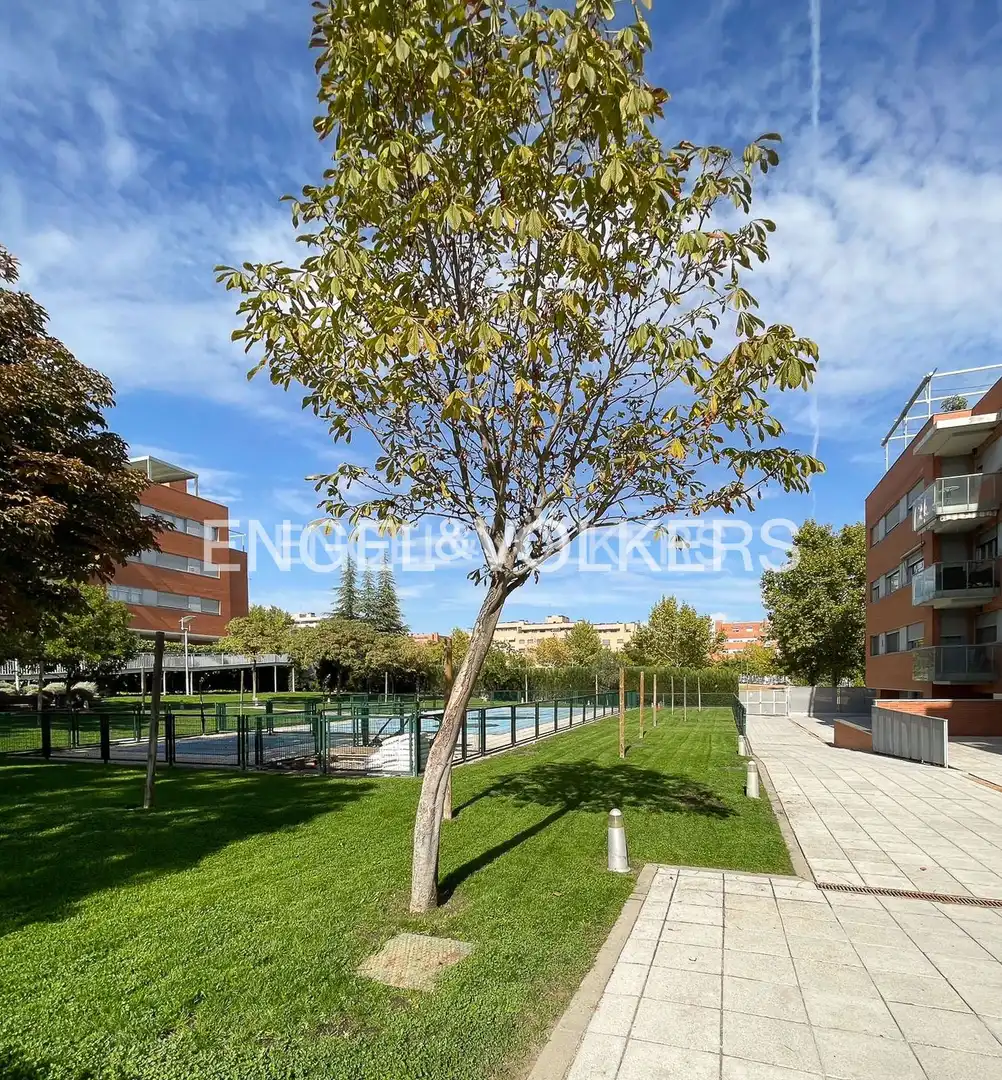 Vista exterior de Apartamento en venta en Paracuellos de Jarama con Calefacción, Jardín privado y Terraza