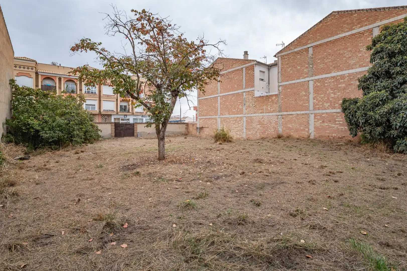 Terrenos y solares en venta en Las Flores - Huerta, imagen 13