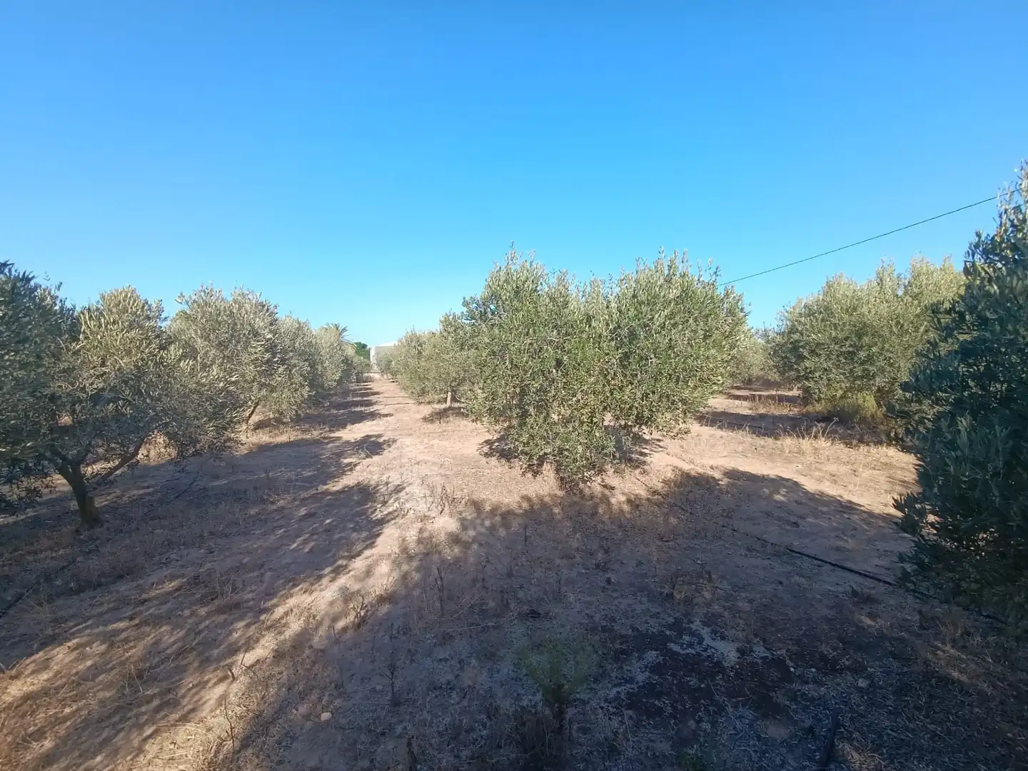 Finca rústica en venda en San Javier amb Aire condicionat i Moblat