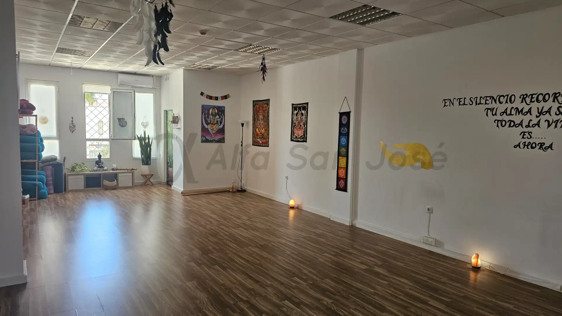 Local commercial à vendre à San José de la Rinconada, imagen 11
