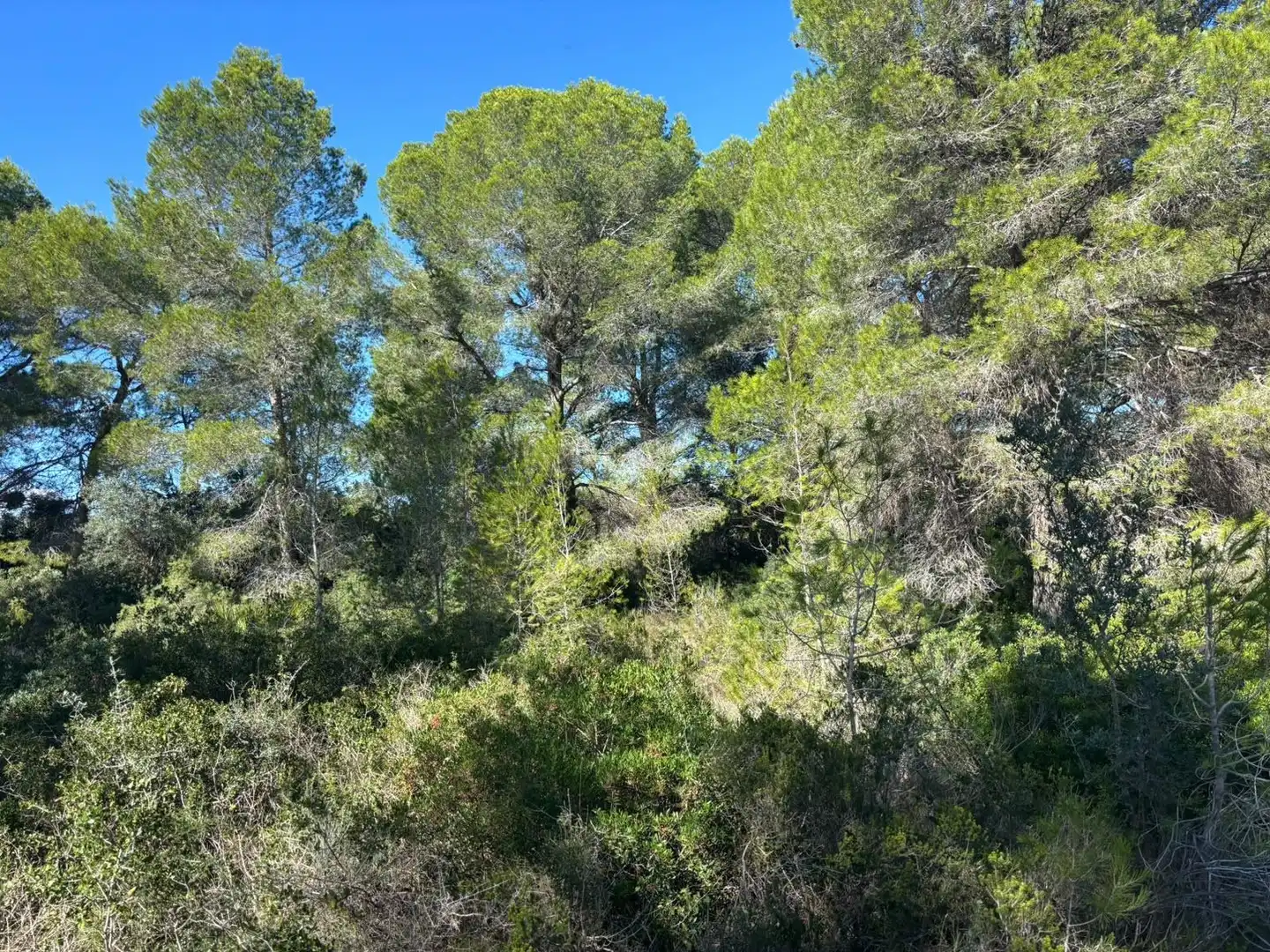 Residencial en venta en L'Ametlla de Mar 