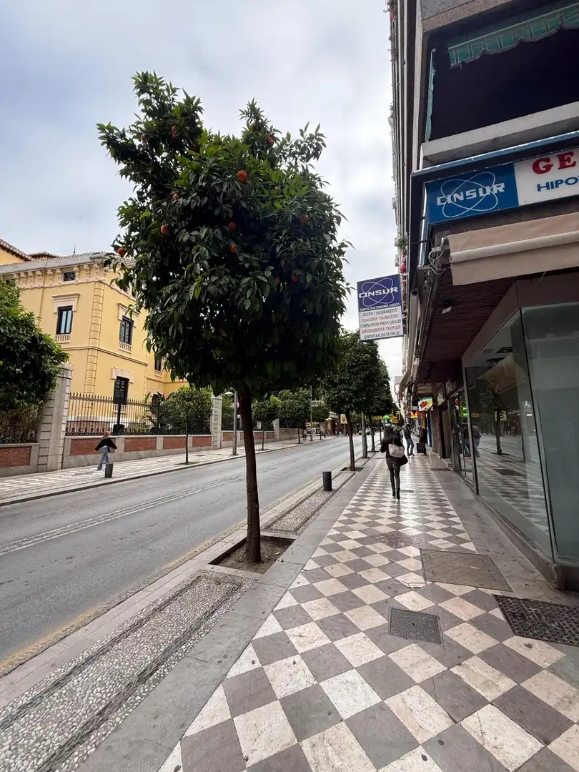 Business premises for transfer in Ronda, imagen 31
