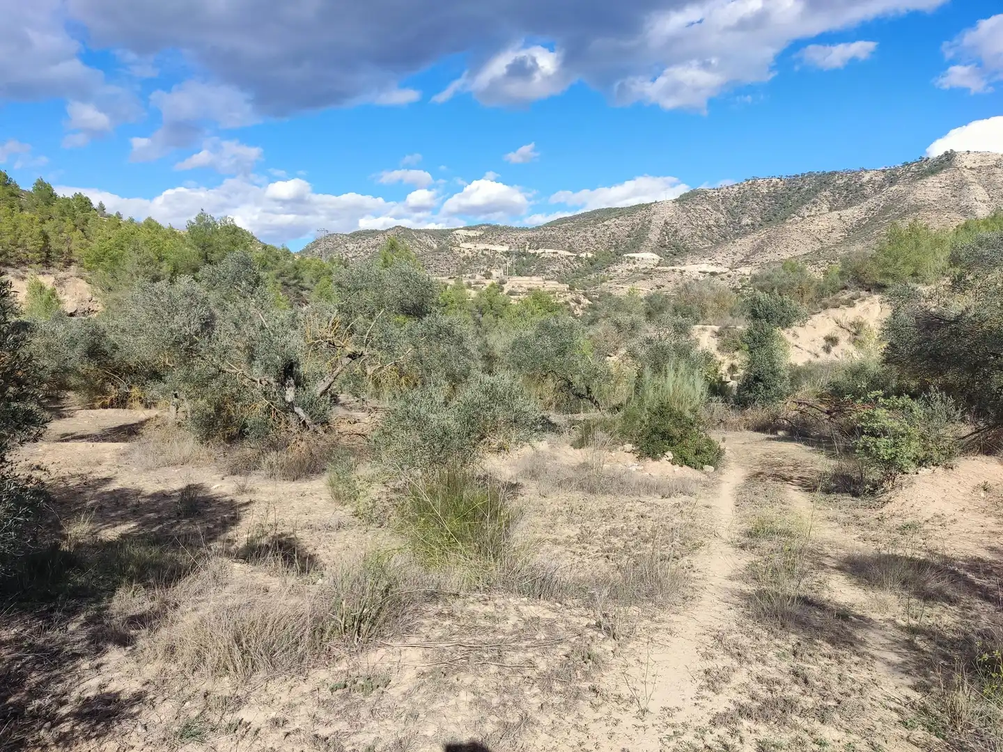 Terrain rustique à vendre à Riba-roja d'Ebre