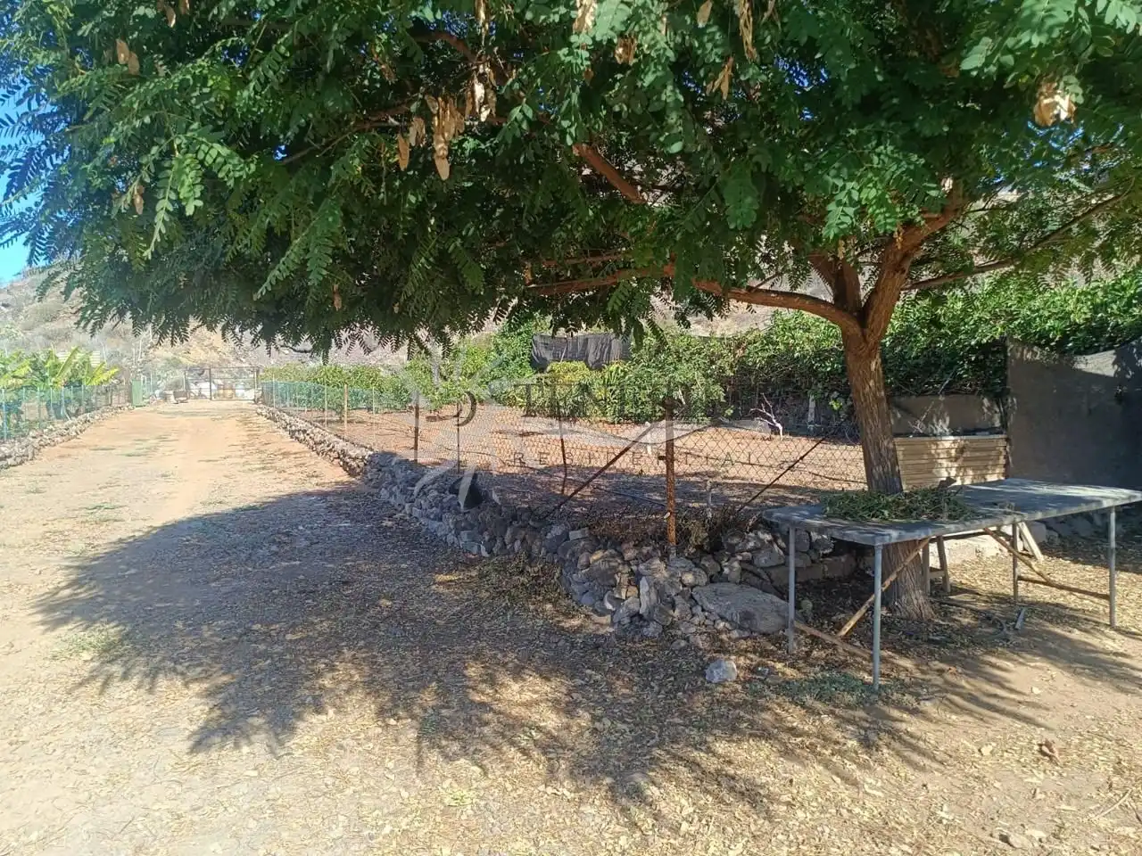 Maison avec piscine à vendre à pino, imagen 44
