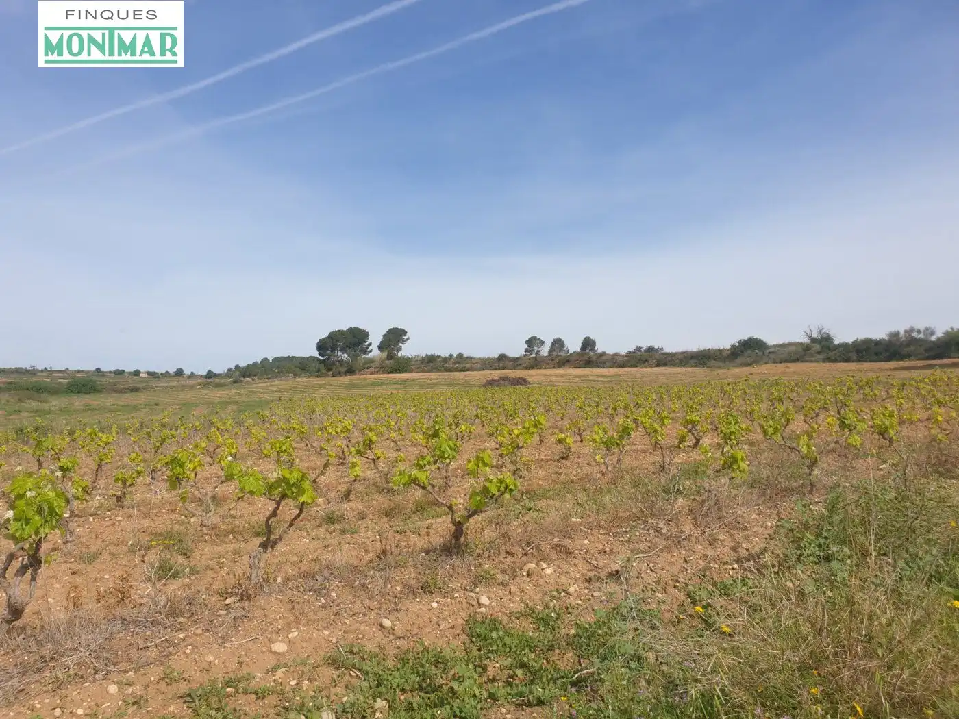 Country homes for sale in Vilabella