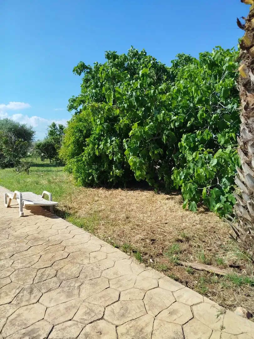 Casa o xalet en venda en Benicarló amb Aire condicionat, Calefacció i Jardí privat