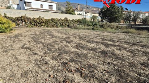 LA CALIDAD DE VIDA QUE BUSCAS TIENE 288 M EN DÚRCALCansado del ruido de la ciudad? Dúrcal es tu refugio ideal. Te presentamos un e, immagine 2