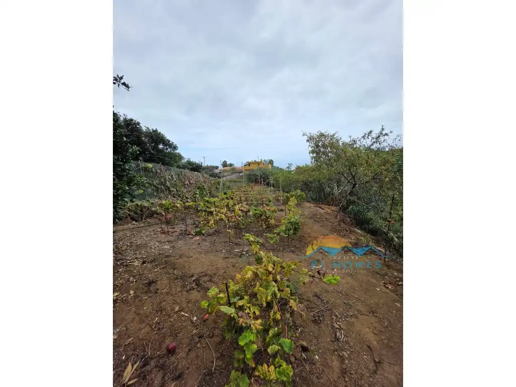 Houses for sale in La Orotava