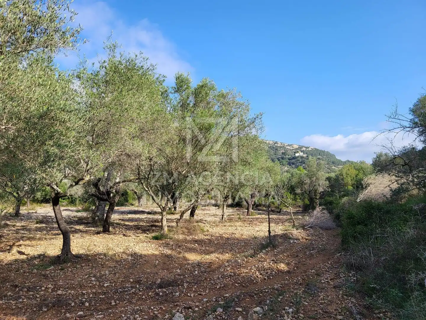 Rural land for sale in Cervera del Maestre, imagen 6