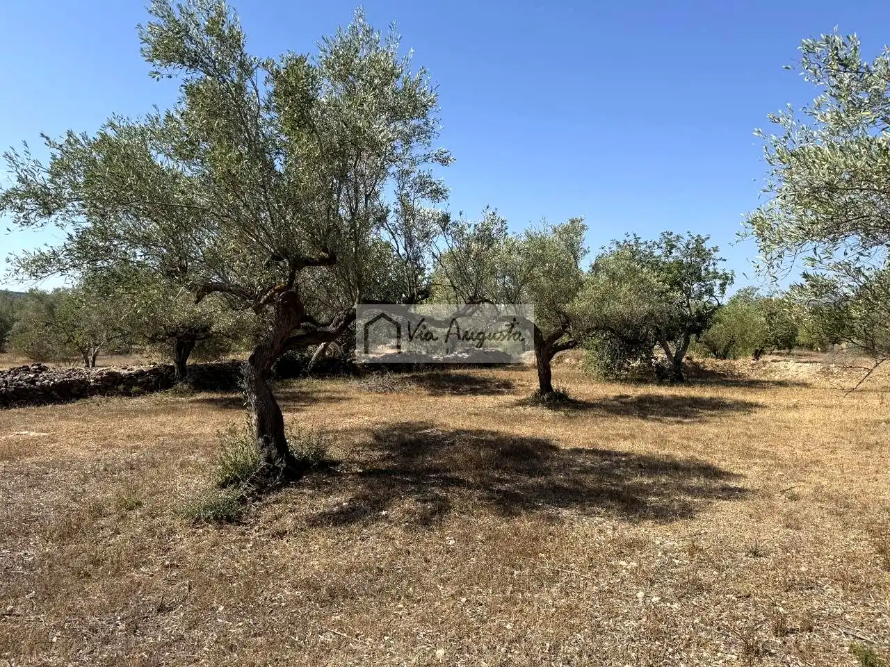 Terreno rustico in vendita a Mas de Baralluga, imagen 25