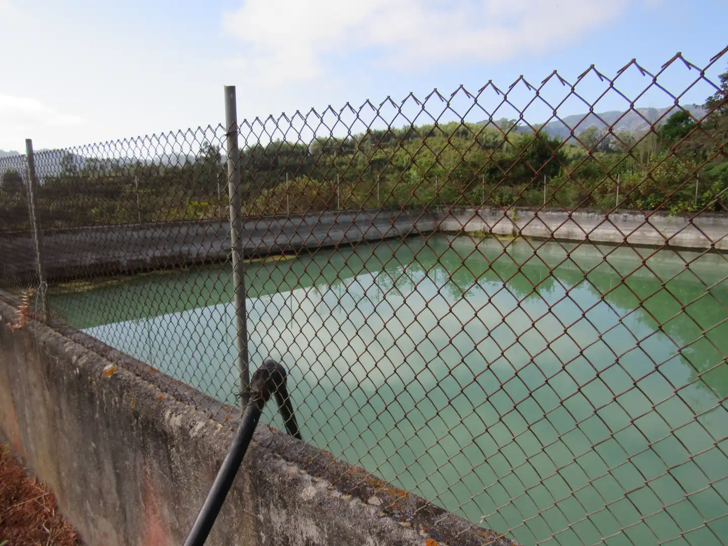 Swimming pool of Land for sale in Moya (Las Palmas)