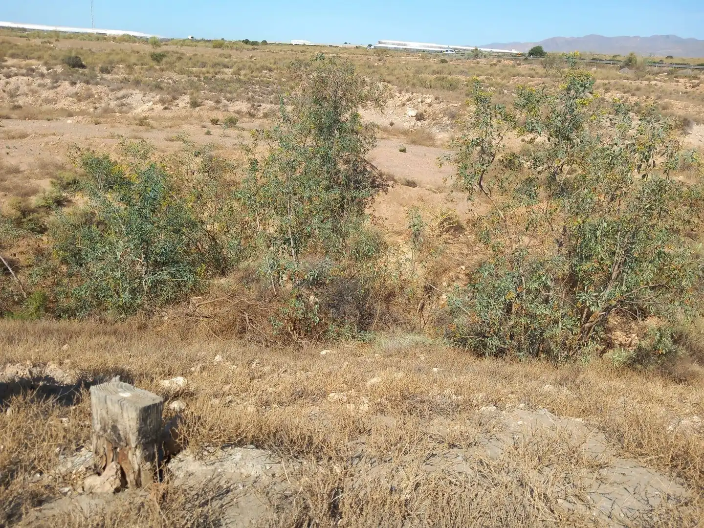 Terreny rústic en venda a San Isidro - Campohermoso, imagen 17
