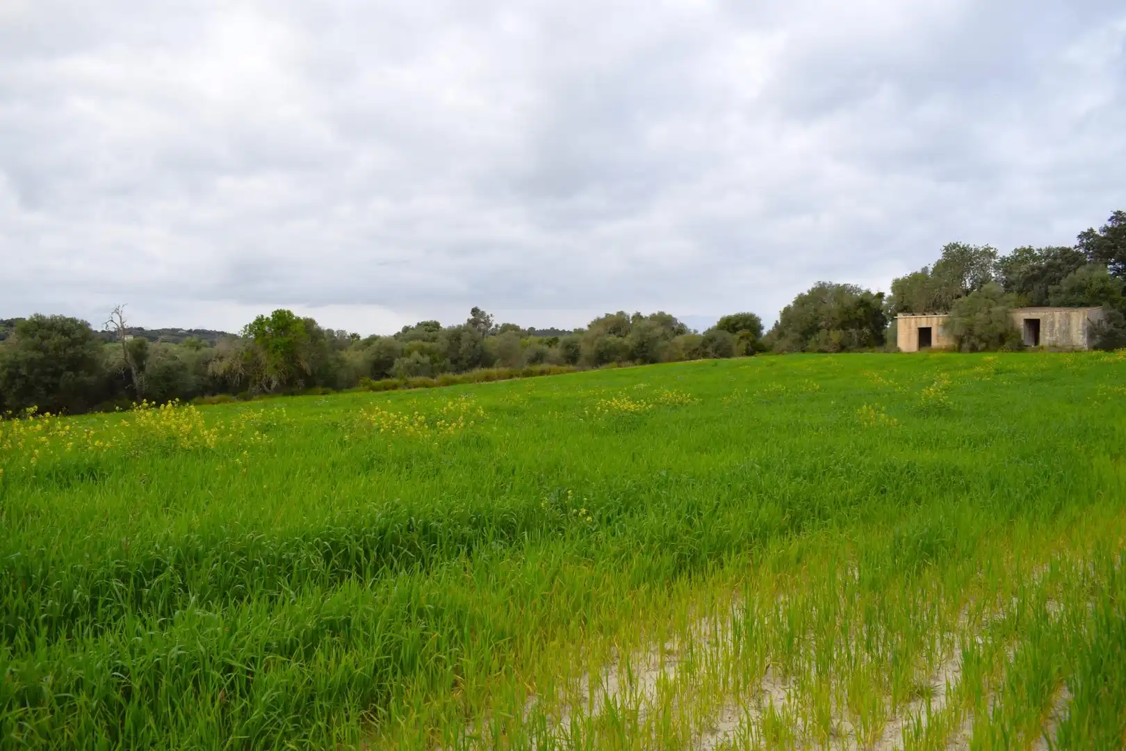 Casa rústica en venta en Muro, imagen 15