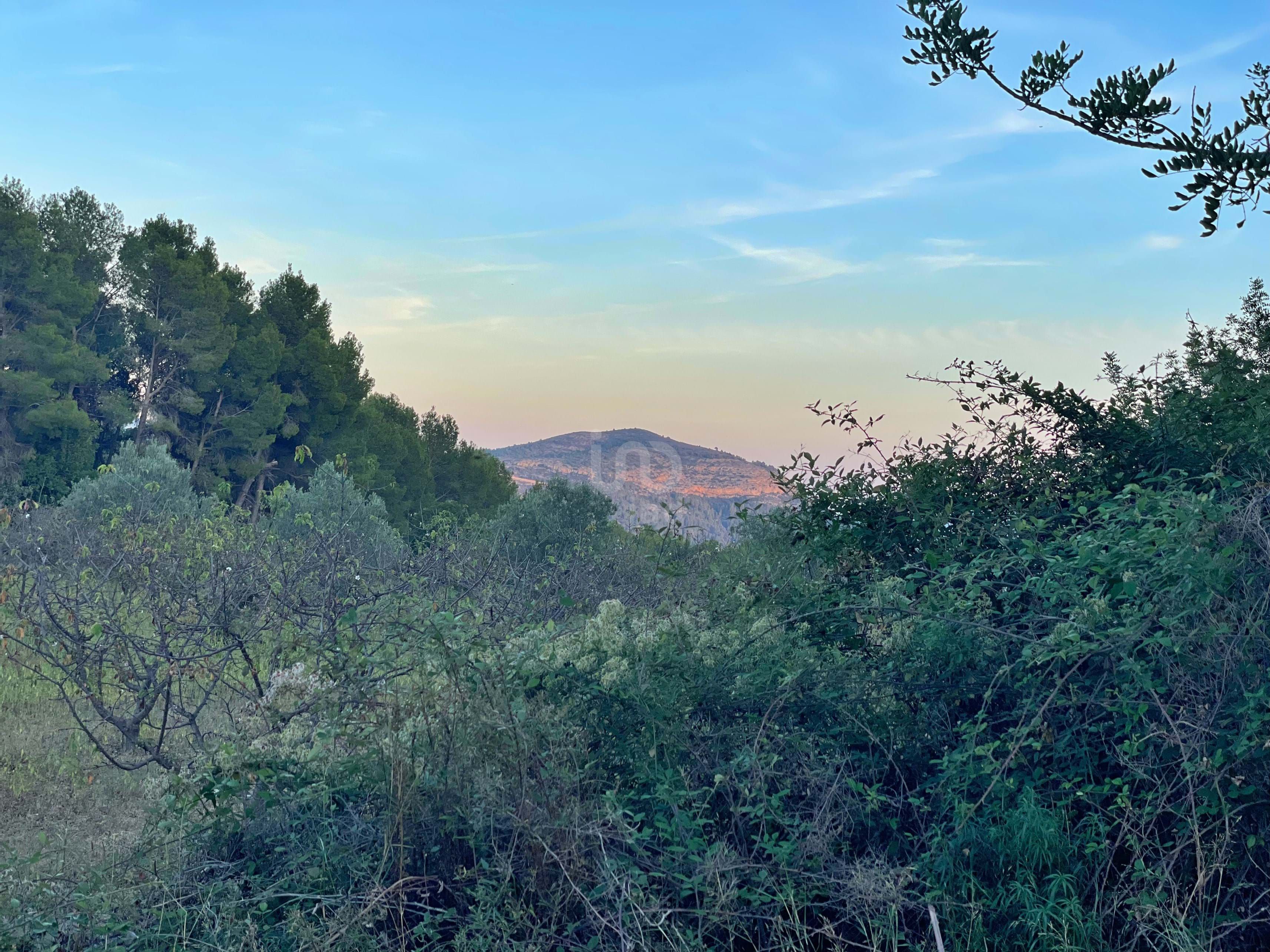 Residential for sale in Murla