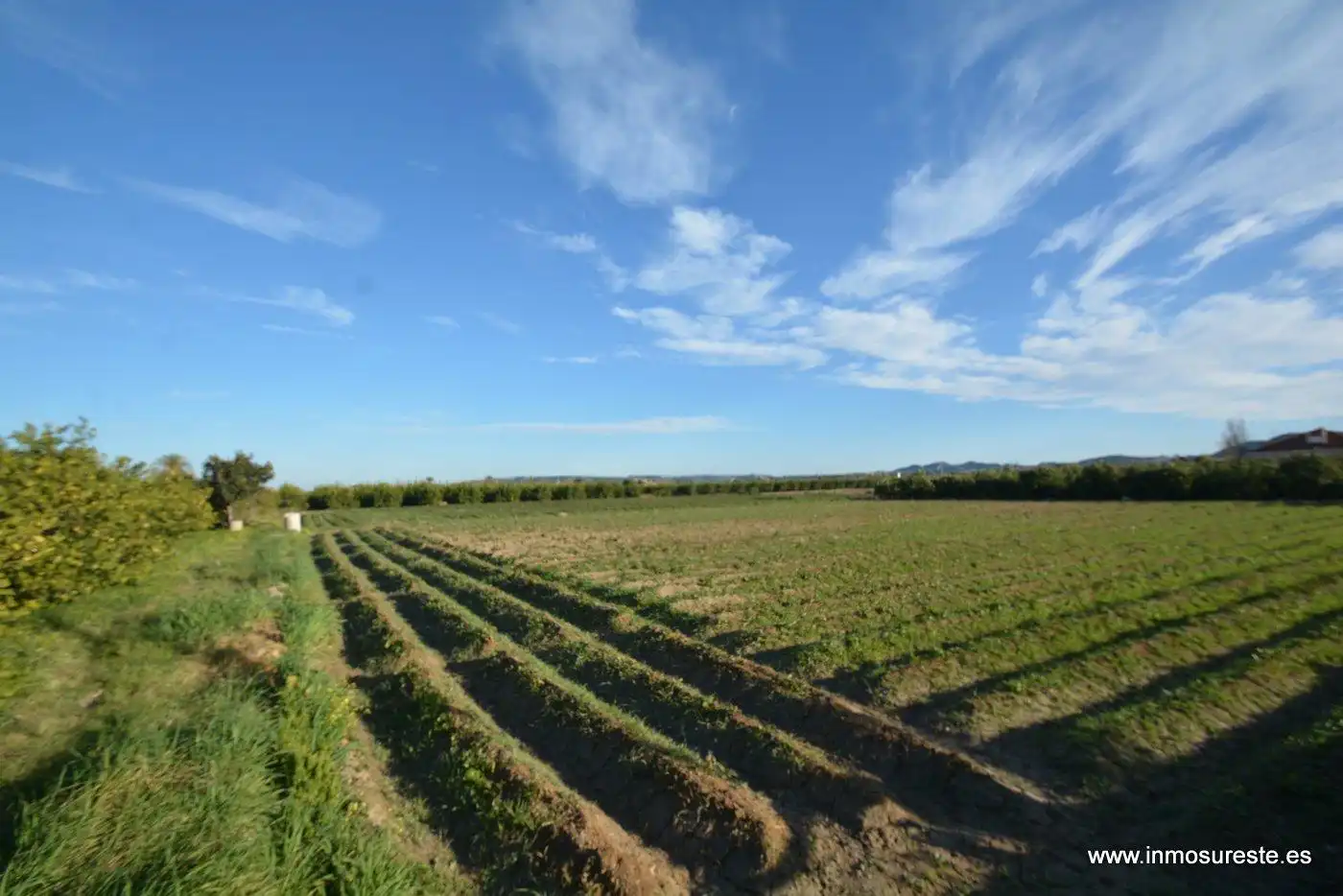 Terreno rustico in vendita a Molins - Campaneta - San Bartolomé, imagen 4