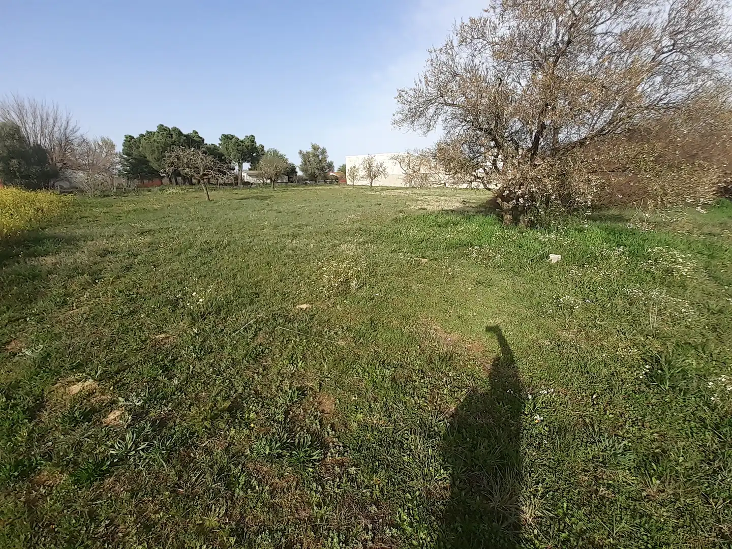 Residential for sale in El Perdigón 
