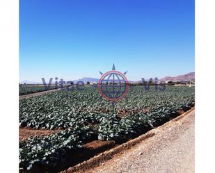 Finca rústica en venda a Diseminados Aguaderas, -1, Aguaderas