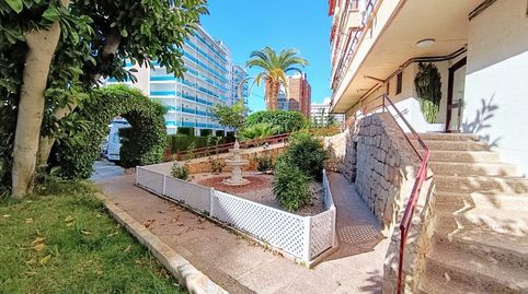Foto 3 de Piso en venta en Londres, Rincón Alto, Benidorm