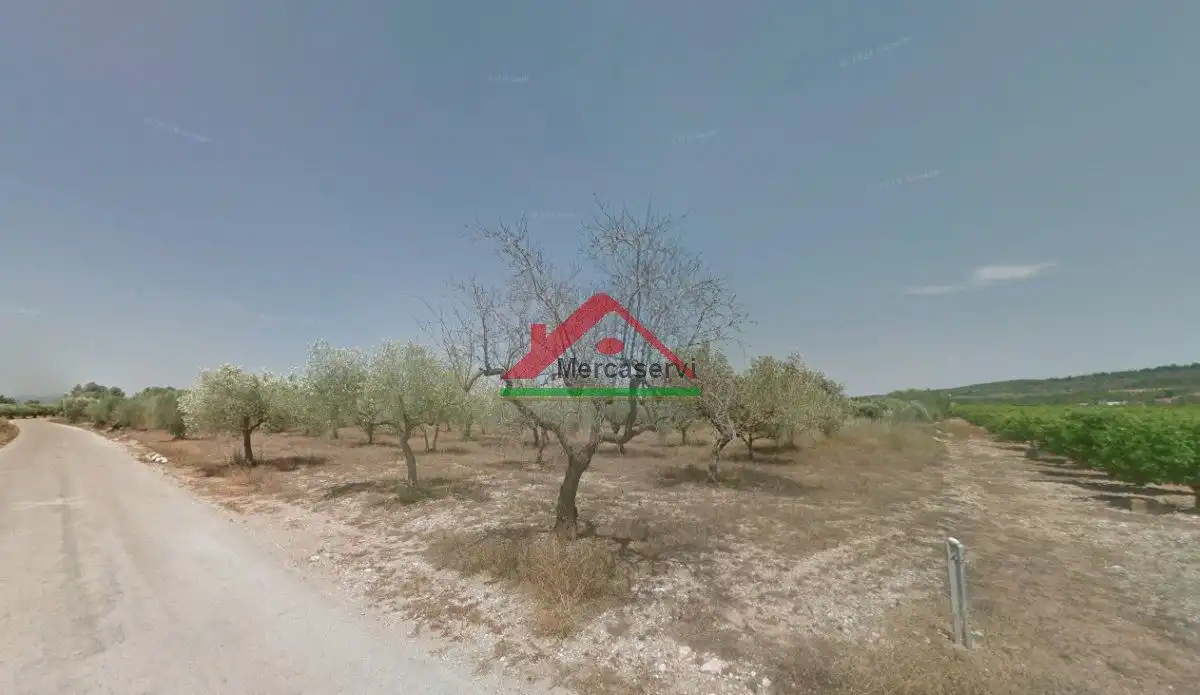 Finca rústica en venta en Vinaròs