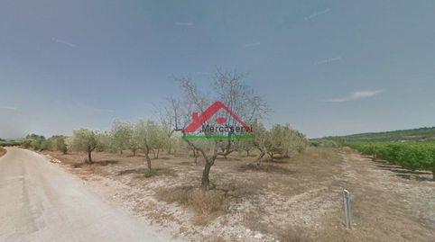 Finca Rúst. en venta en Vinaros.