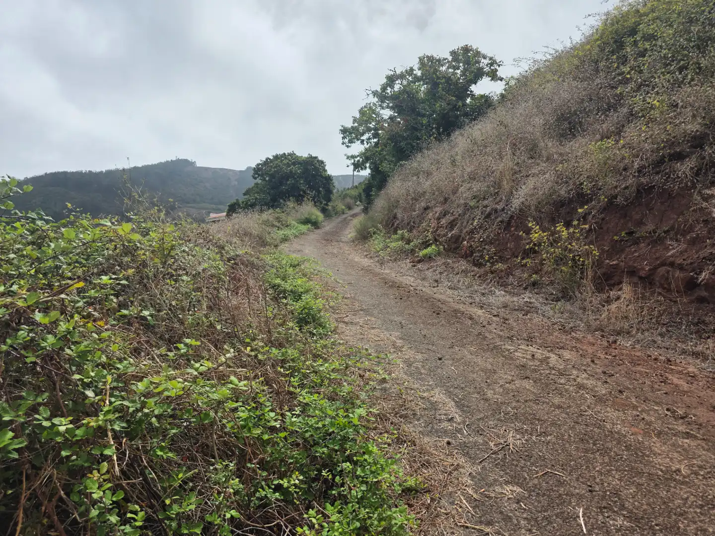 Rural land for sale in Camino las Peñuelas 11, imagen 17