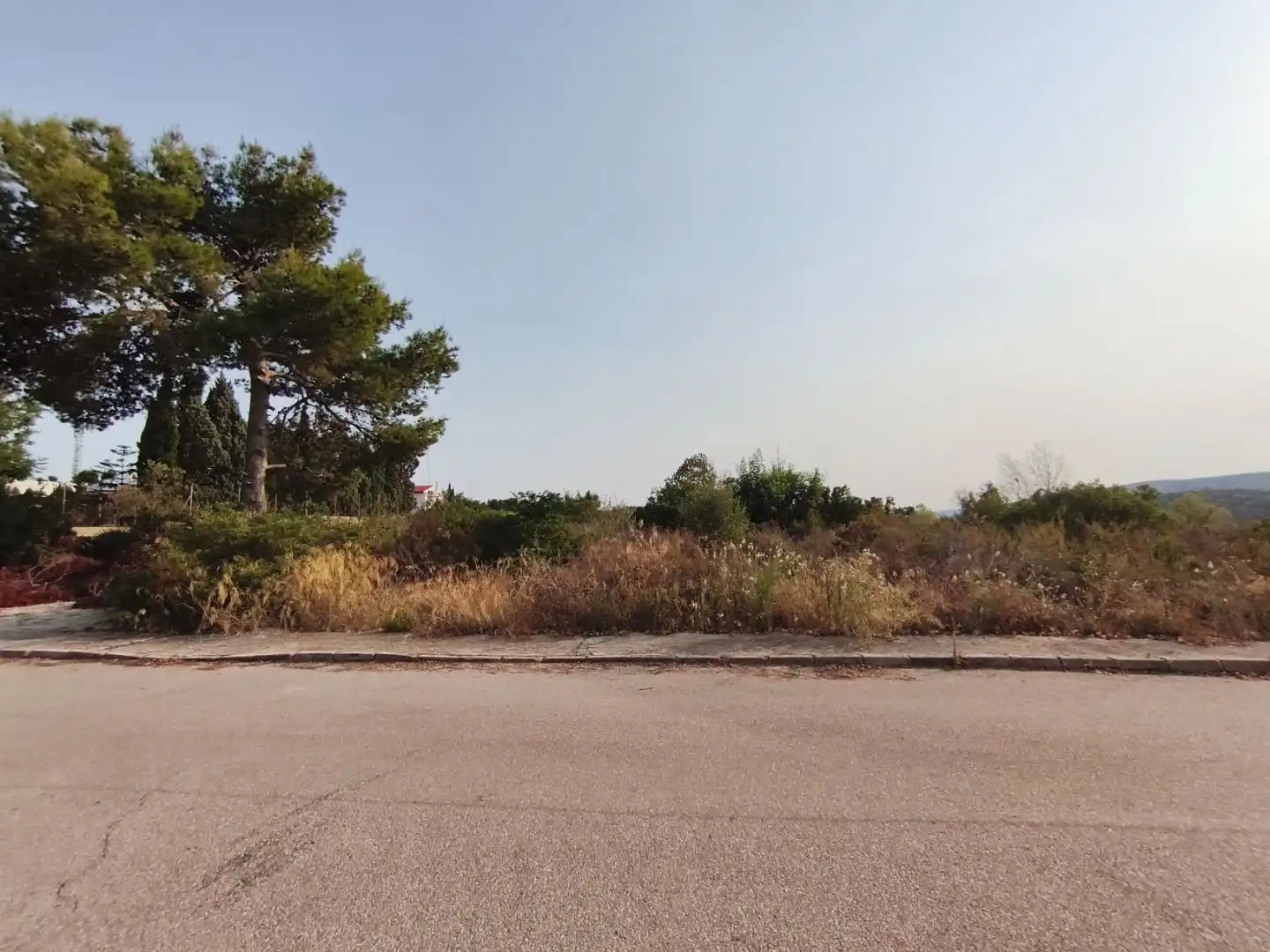 Terreno residencial en venta en C/ Gandia 825, imagen 7