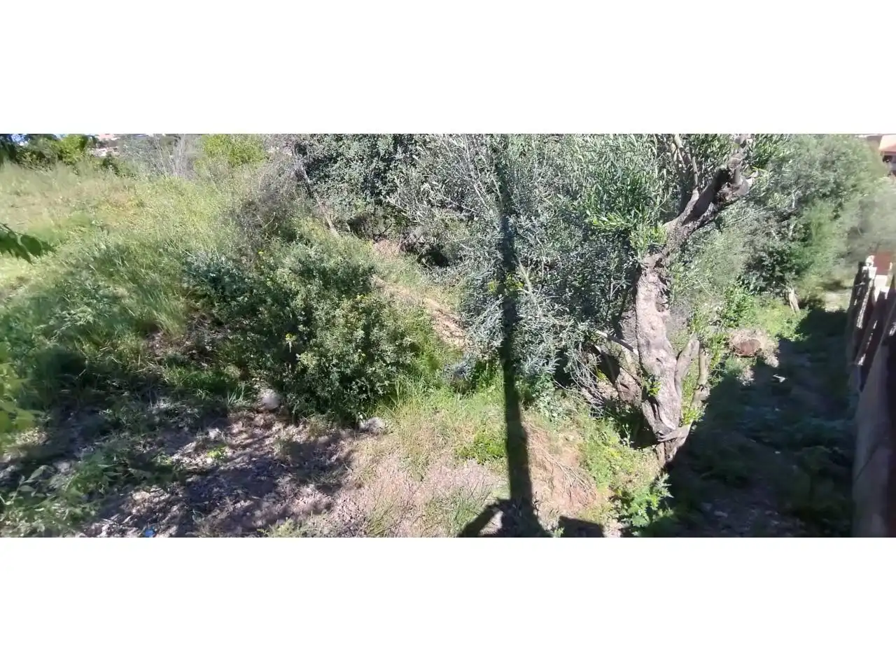 Terreno residencial en venta en Sant Vicenç Dels Horts, imagen 7