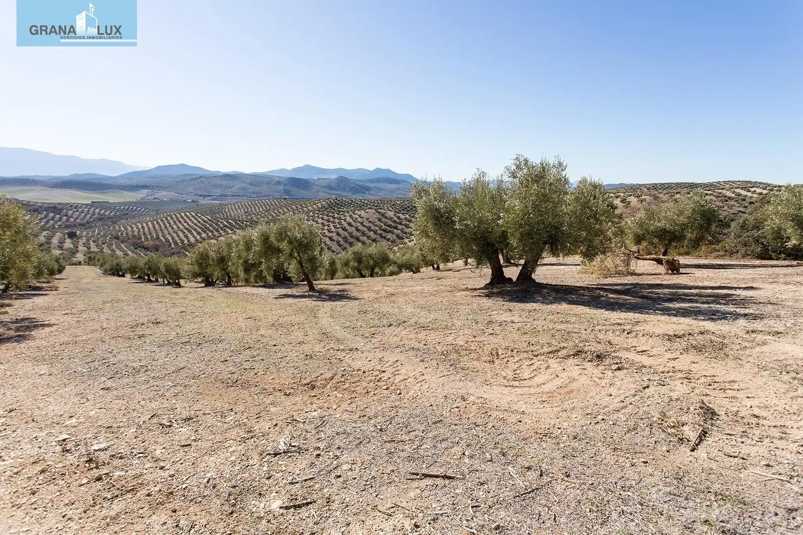 Land for sale in Campotéjar