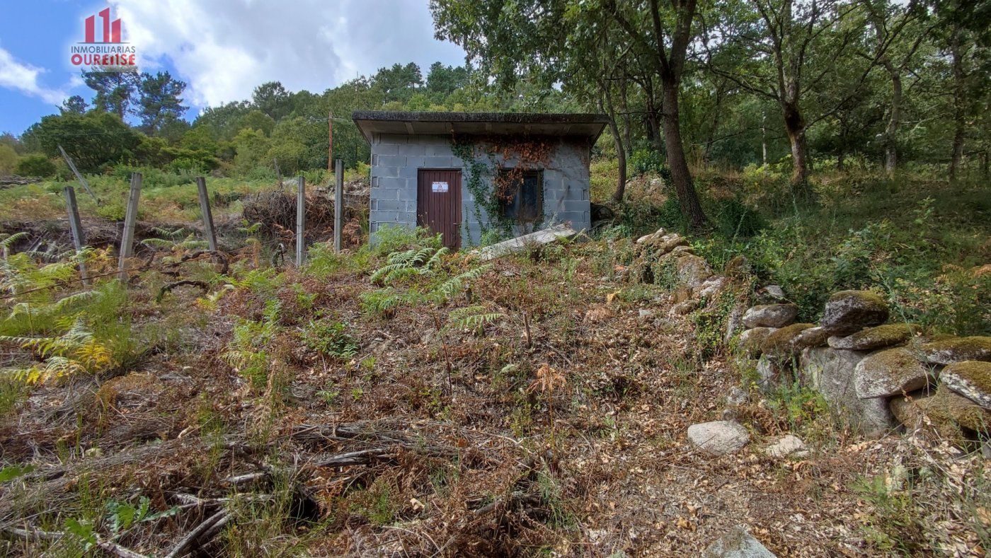 Finca rústica en venda en Amoeiro