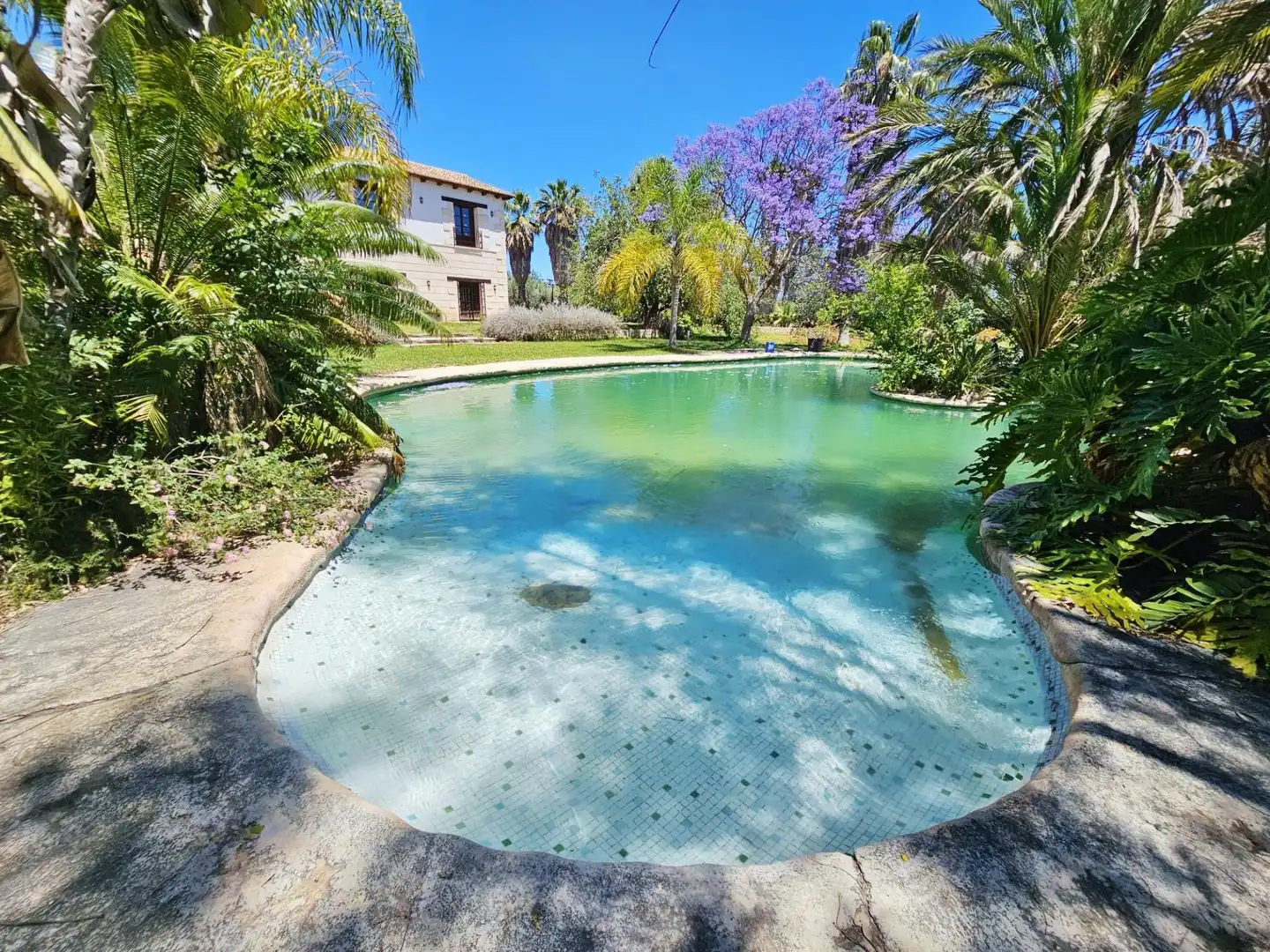 Piscina de Casa o xalet en venda en Elche / Elx amb Aire condicionat, Calefacció i Jardí privat