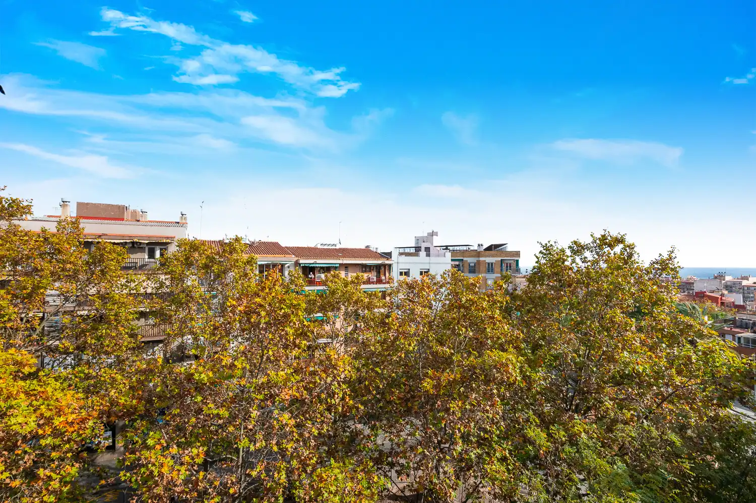 Piso con terraza en venta en Passeig Carles Padrós, imagen 24