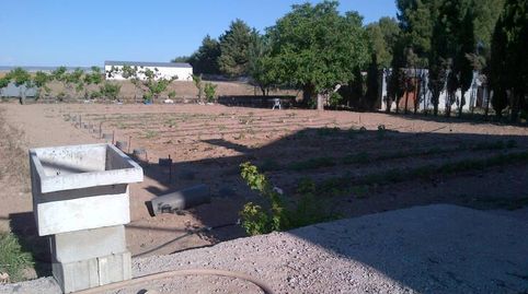 TERRENO DE MAS DE 5000 MTROS EN CTRA DE ROMICA, imatge 3