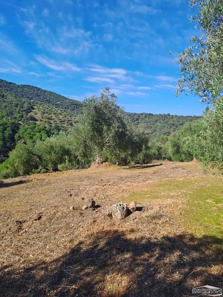 Casa o chalet en venta en Villaviciosa de Córdoba con Piscina
