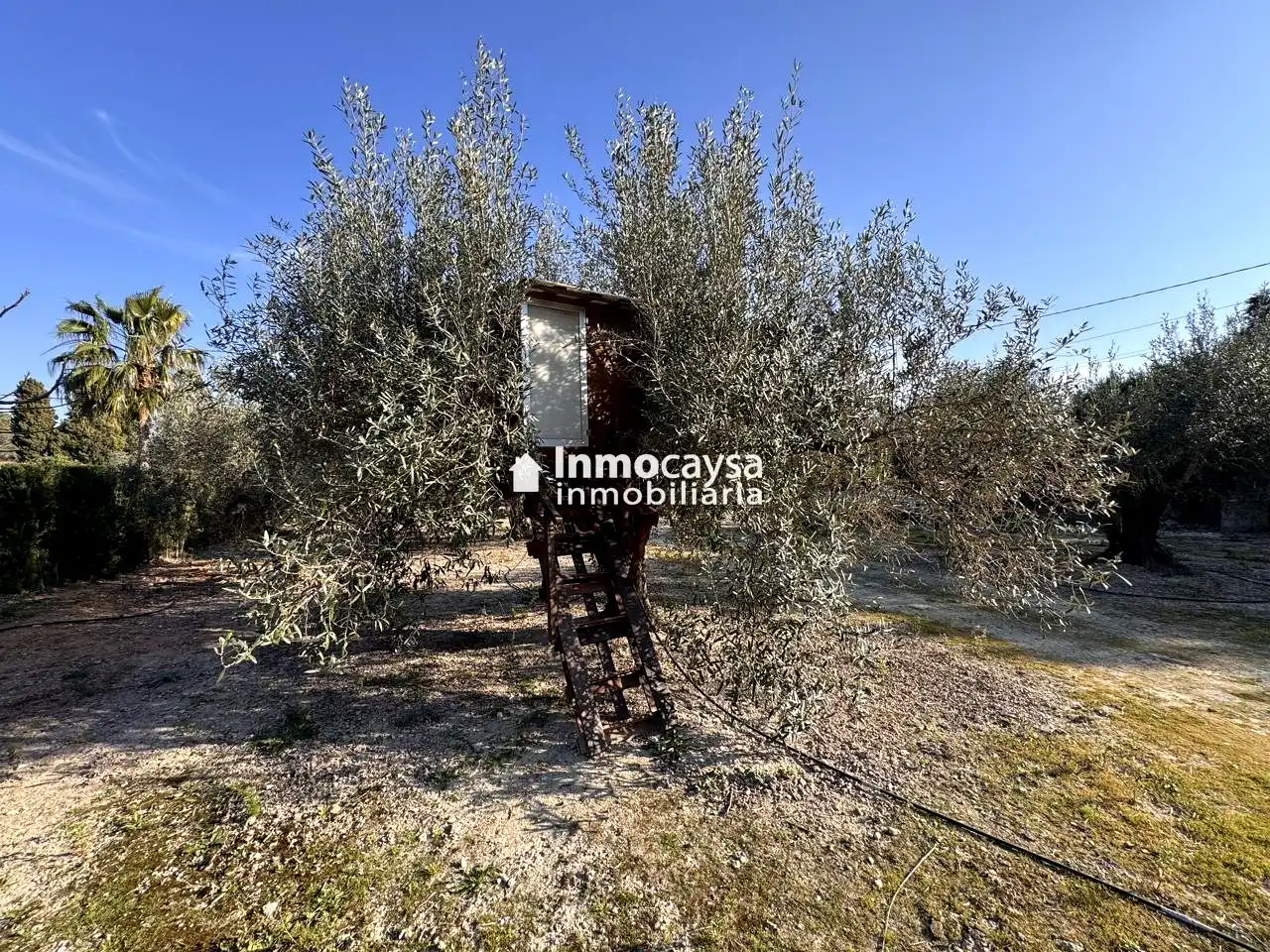 Grundstücke und Bauplätze zum Verkauf in Xàtiva, imagen 17