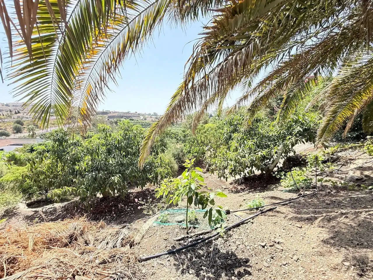 Casa o chalet en venta en Vélez-Málaga con Aire acondicionado, Calefacción y Jardín privado