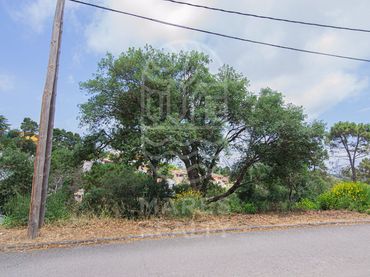 Terreni e lotti in vendita a Lloret Blau - La Creu de Lloret