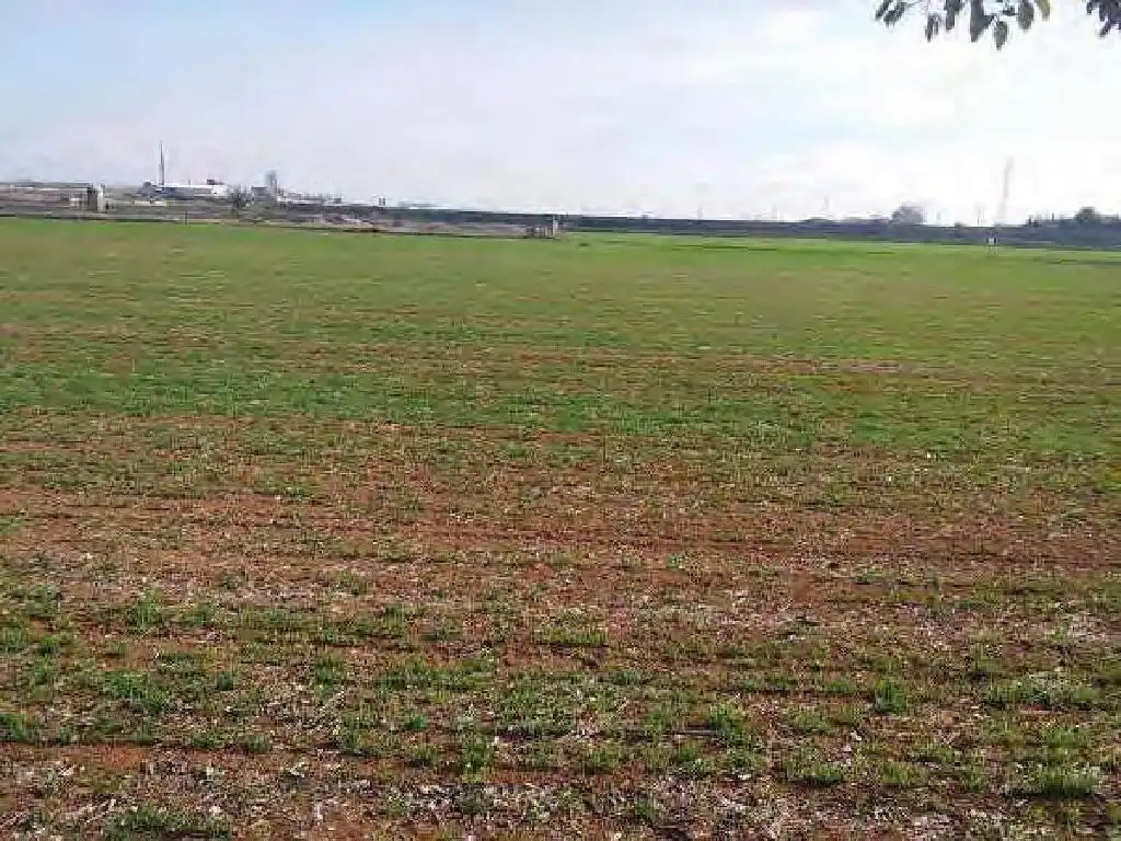Terreno rústico en venta en Daimiel, imagen 8