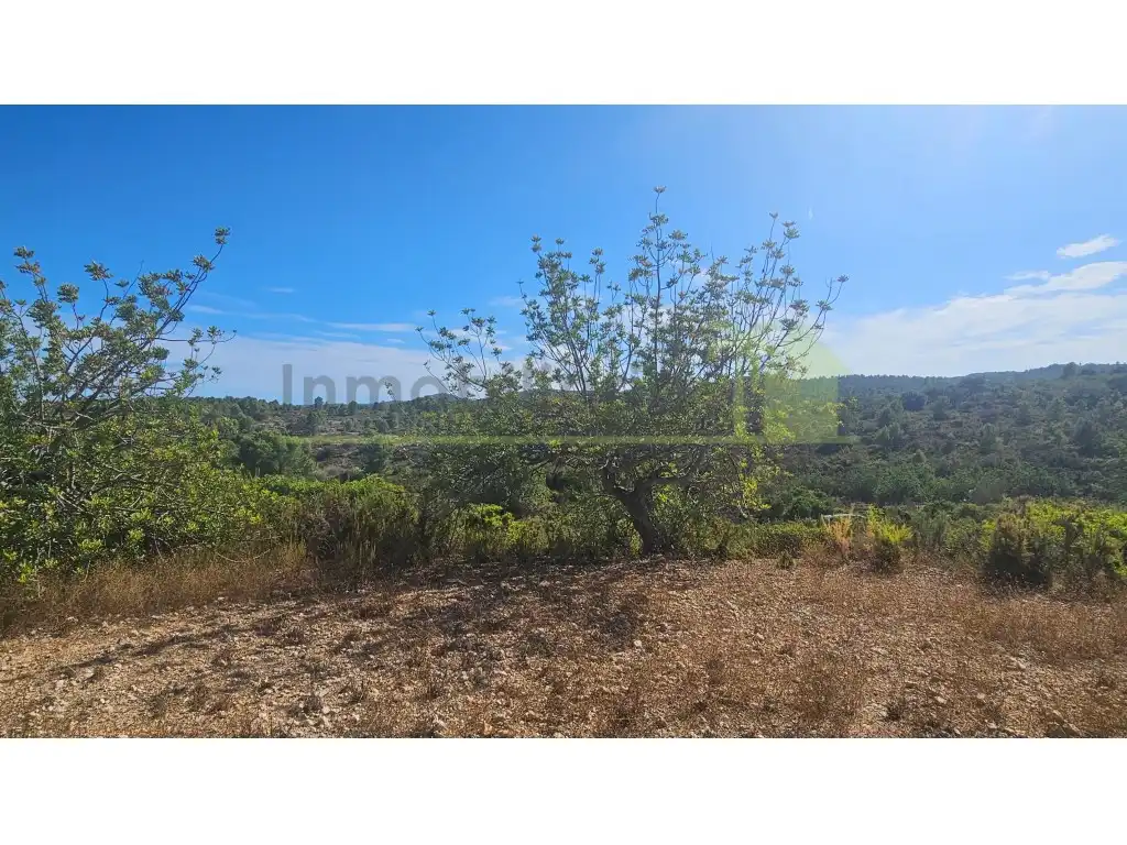 Rural land for sale in Poligono 37 Paraje 351 T Cerver, imagen 13