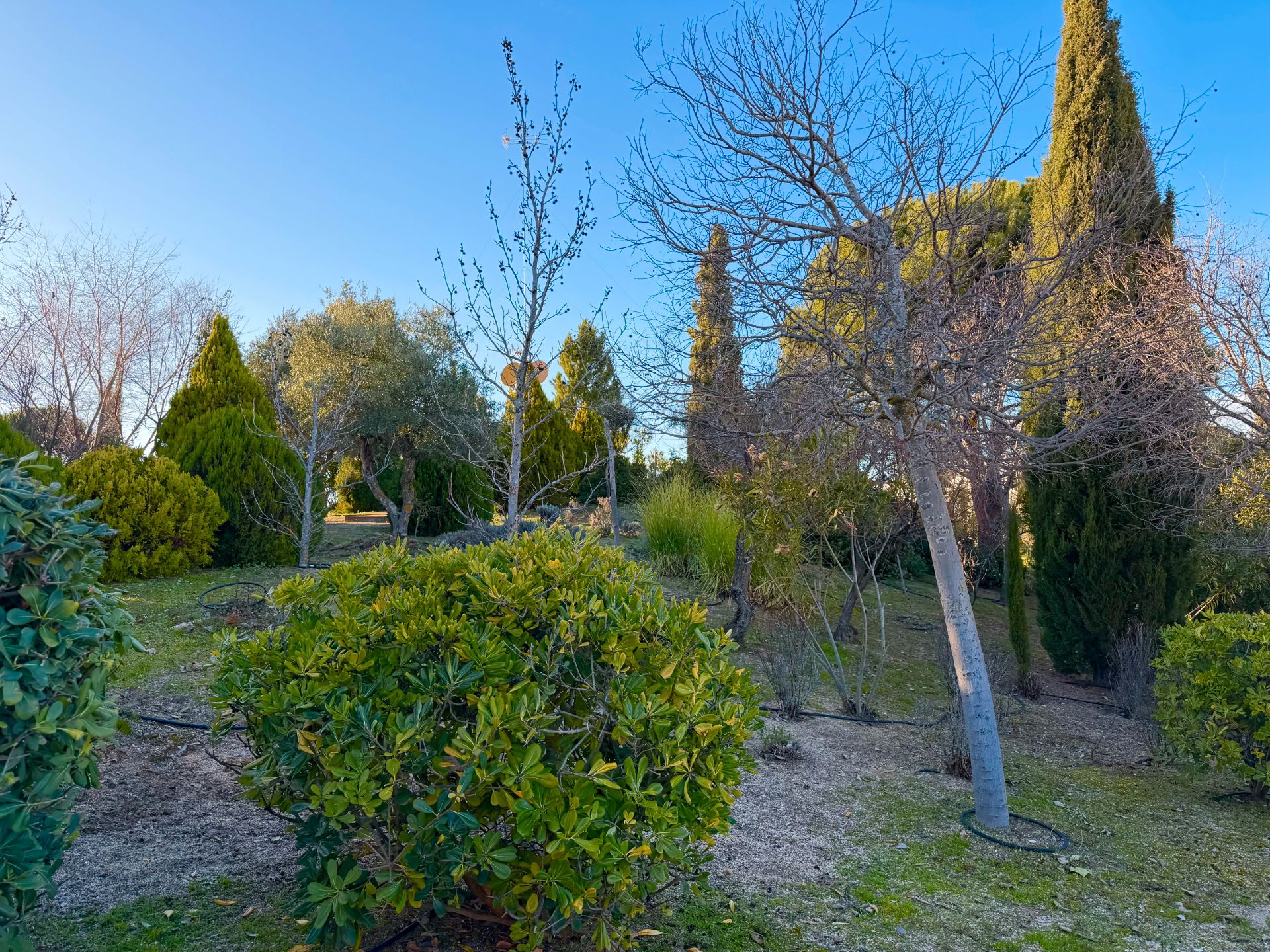 Garden of Houses for sale in  Toledo Capital  with Air Conditioner, Heating and Private garden