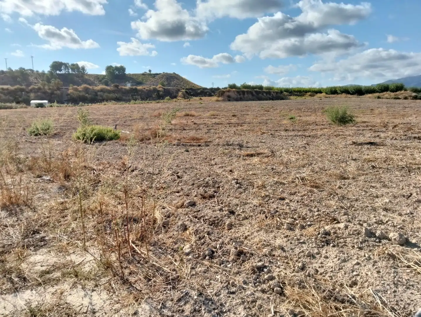 Lands and plots for sale in Mula, imagen 3