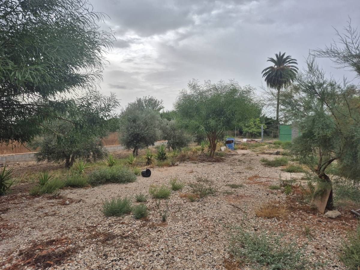 Residencial en venta en Partida Erita, Catral