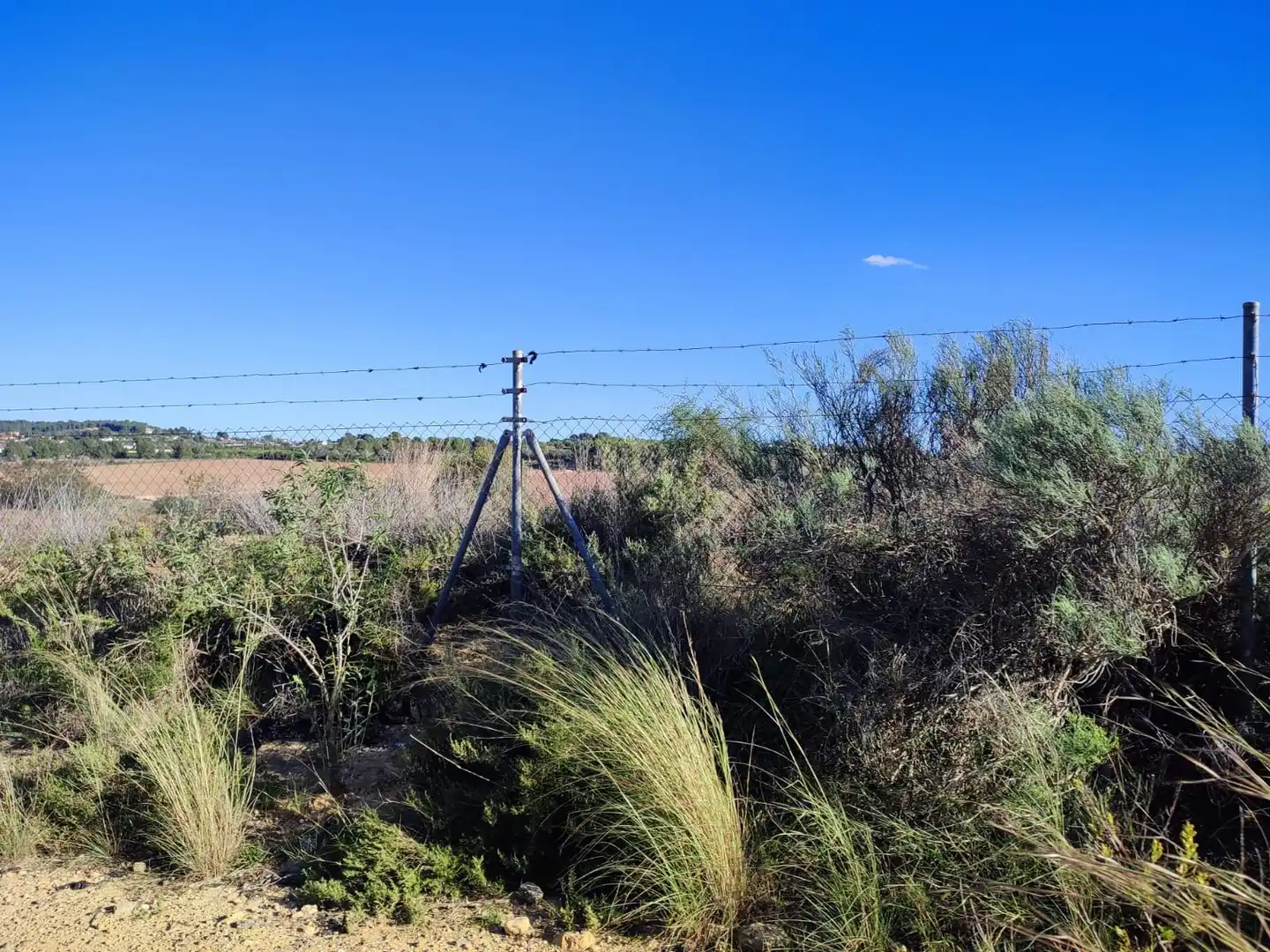 Terrain rustique à vendre à Los Felipes - Corral de Carmelo, imagen 5