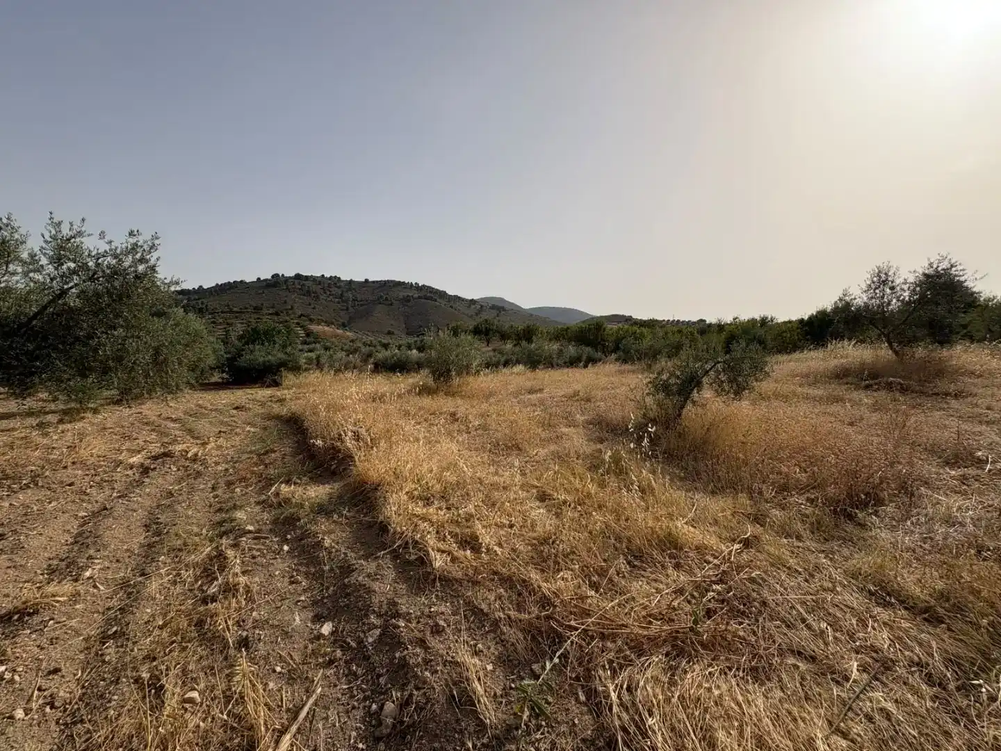 Pis en venda en Padul amb Jardí privat