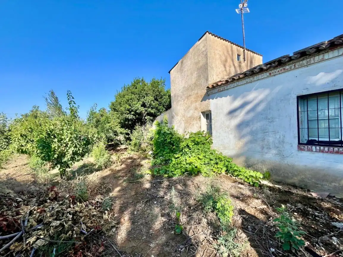 Land for sale in Zaragoza