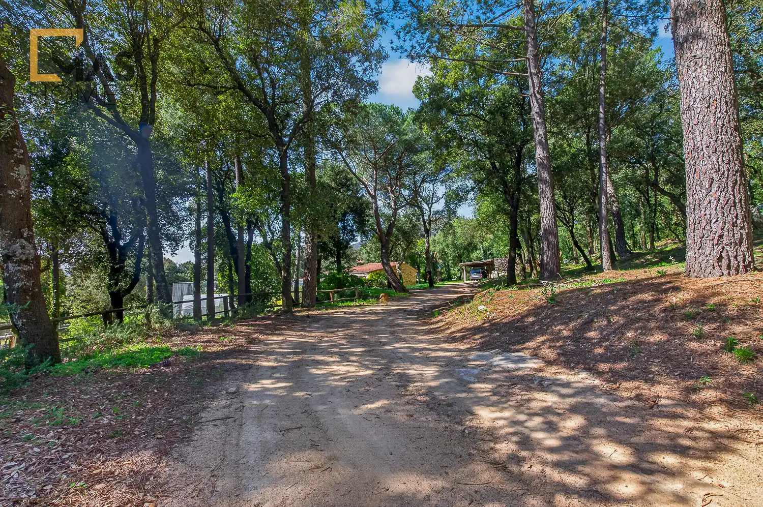 Finca rústica en venda en Arbúcies amb Aire condicionat, Calefacció i Jardí privat