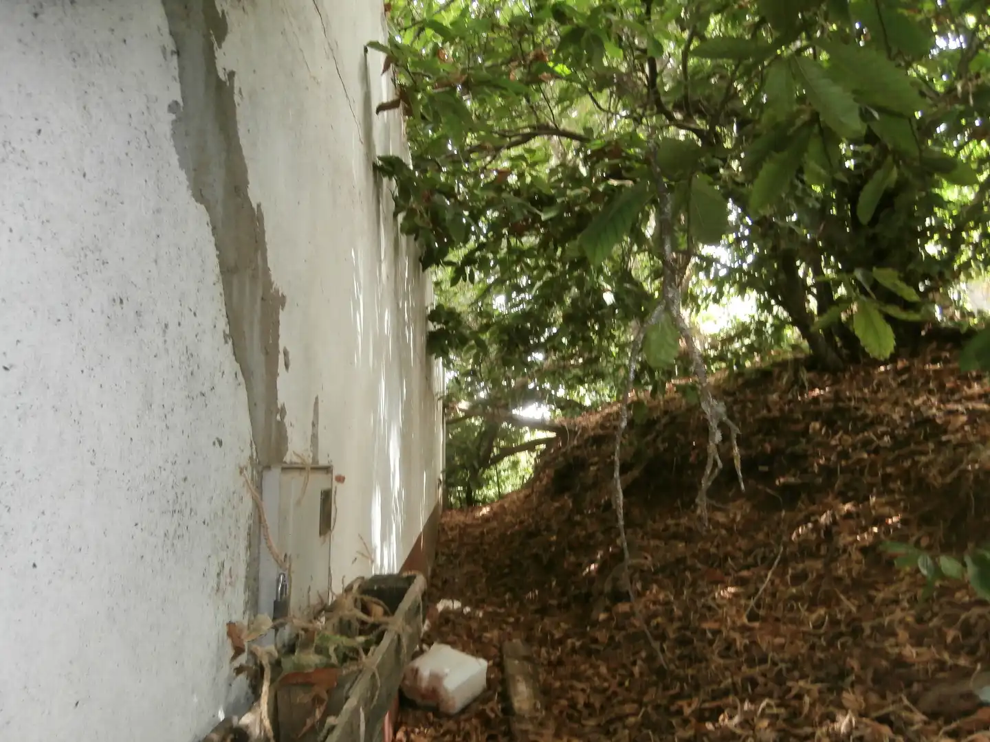 Finca rústica en venta en Camino Lomo el Marco, 41, Moya (Las Palmas)