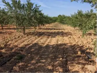 Terrain rustique à vendre à Requena, imagen 18