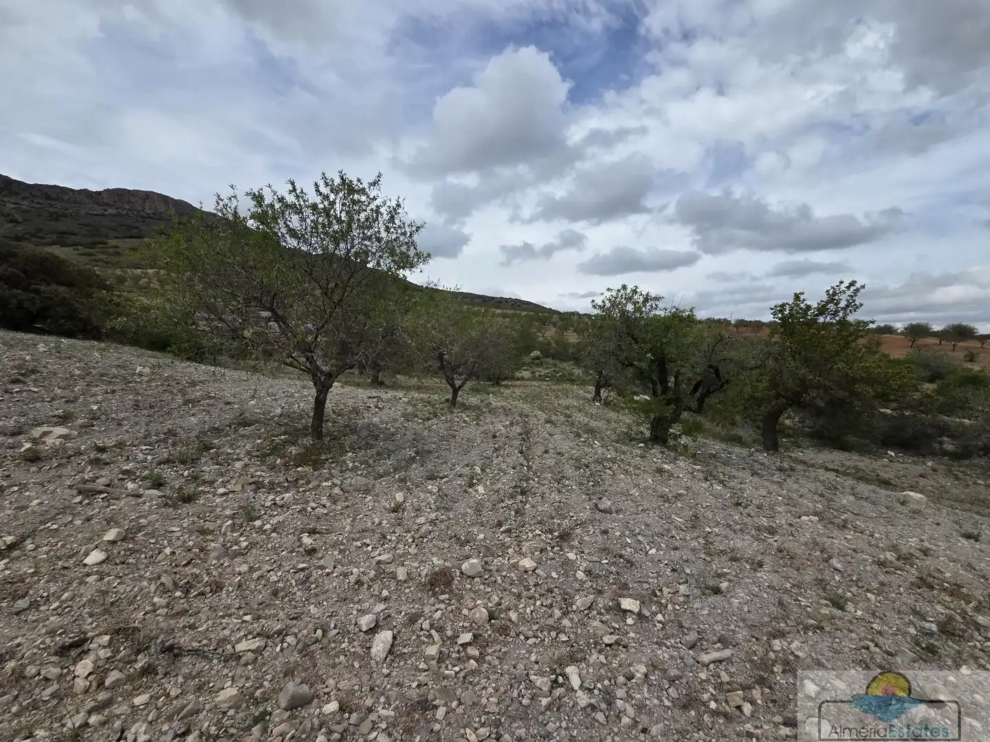 Terrenys i solars en venda a Albox, imagen 9