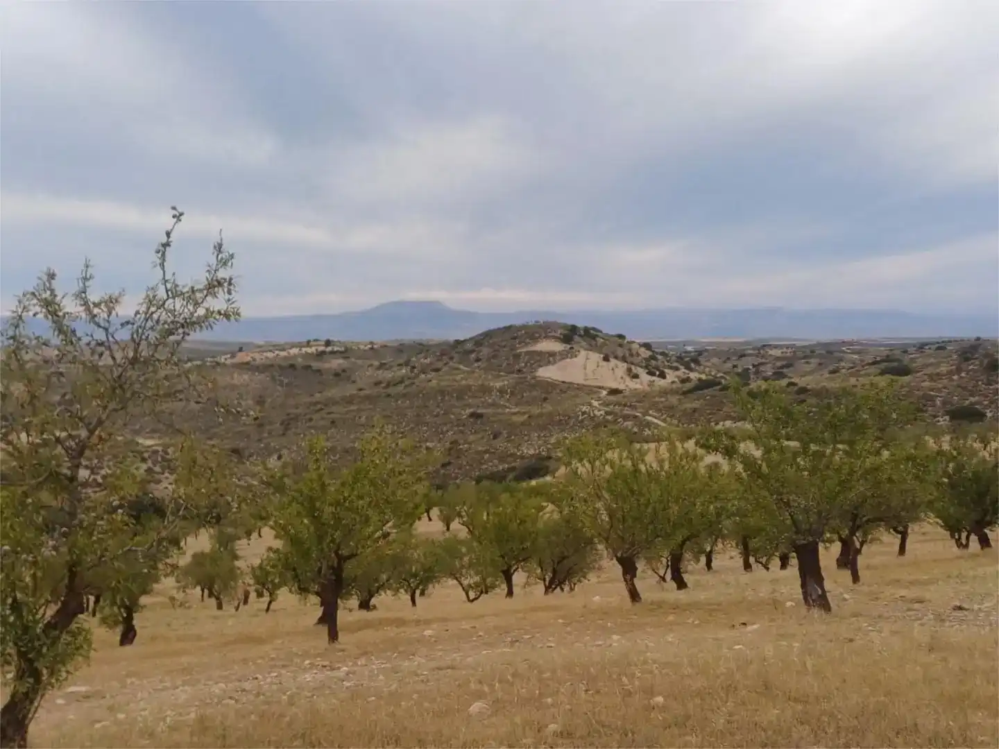 Piso en venta en Cacín