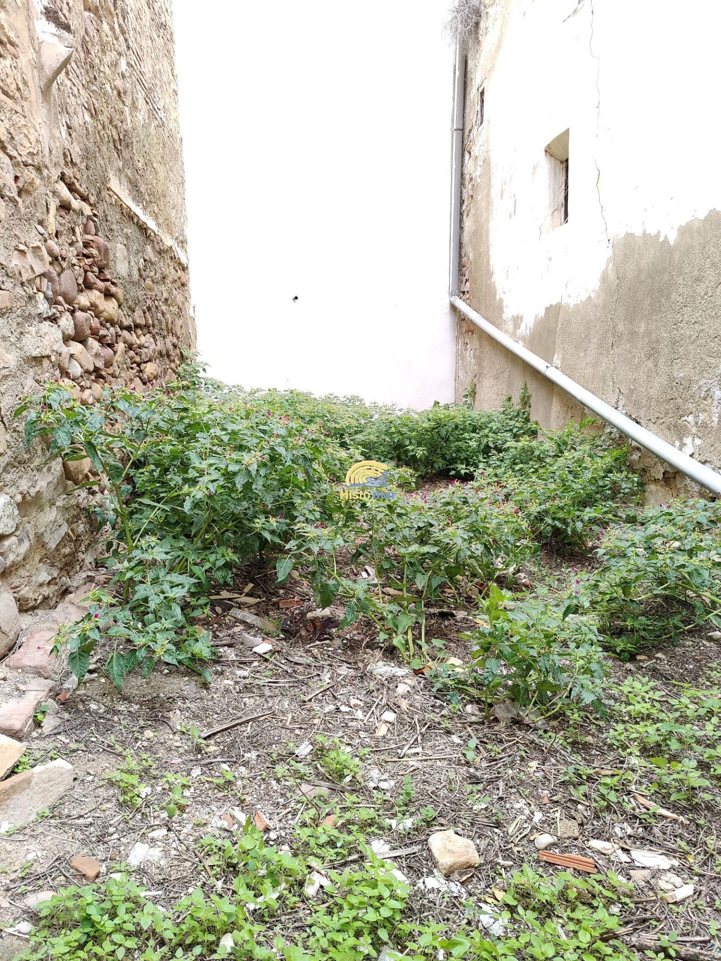 Casa o xalet en venda en Sagunto / Sagunt amb Terrassa